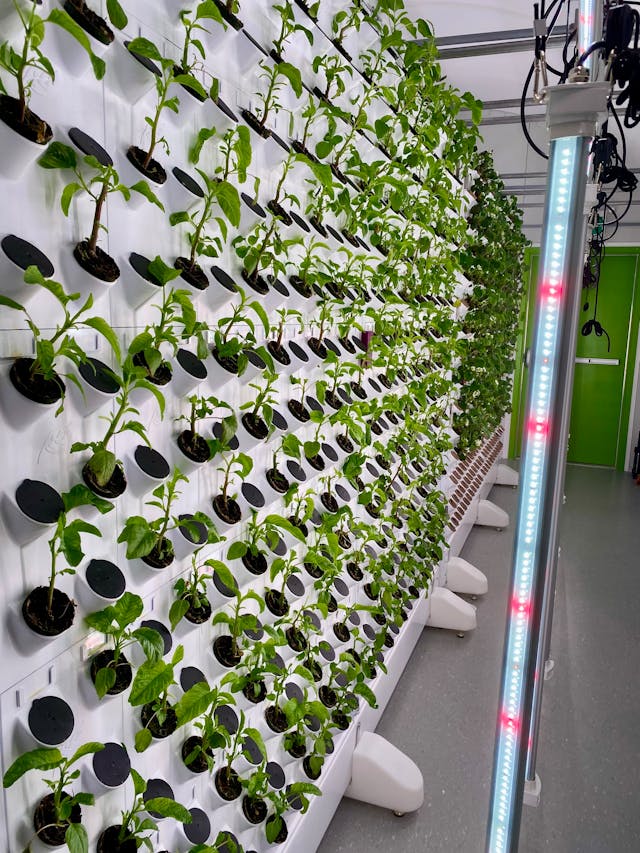 AgriTech platforms