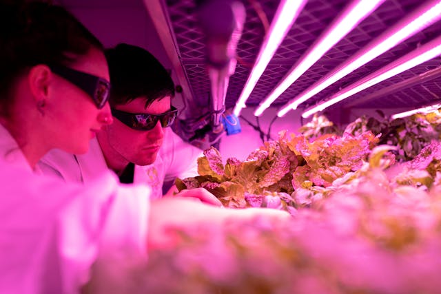 Agriculture operations